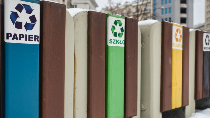 Zielona Rewolucja w Sercu Mazowsza: Warszawski Recykling Makulatury