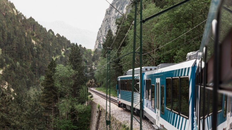 Modernizacja infrastruktury miejskiej: Prace na Bitwie Warszawskiej 1920 r. wpływają na ruch tramwajowy i drogowy