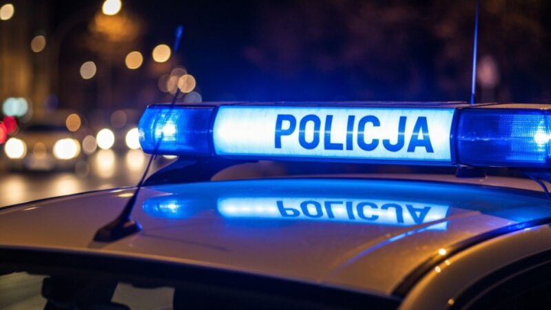 Mandaty dla kierowców łamiących przepisy w Wilczej Górze: Mieszkańcy reagują na niebezpieczeństwo na drogach