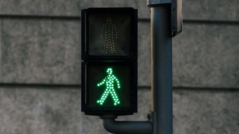 Nowe kamery na „gilotynie”: Bezpieczeństwo zwierząt w Kampinosie na pierwszym miejscu!