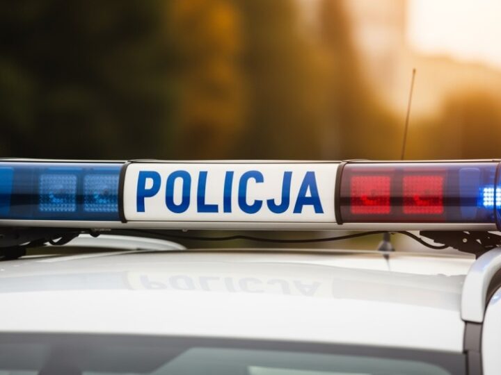 Polskie służby zatrzymały kradziony mercedes, który miał trafić do Dubaju!