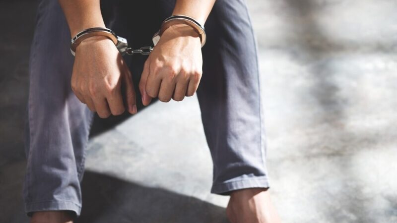 Policja Europy Środkowej i Wschodniej Łączy Siły w Walce z Przestępczością Samochodową