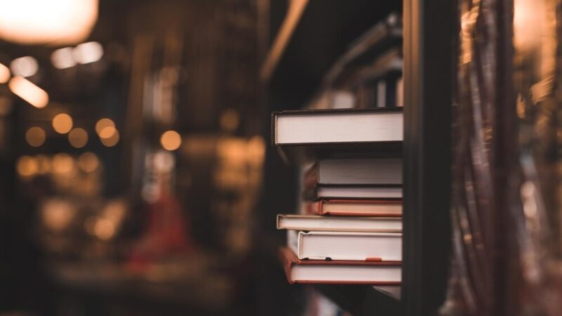 Listopad pełen książek i ekologicznych inspiracji w Bibliotece Wesoła!