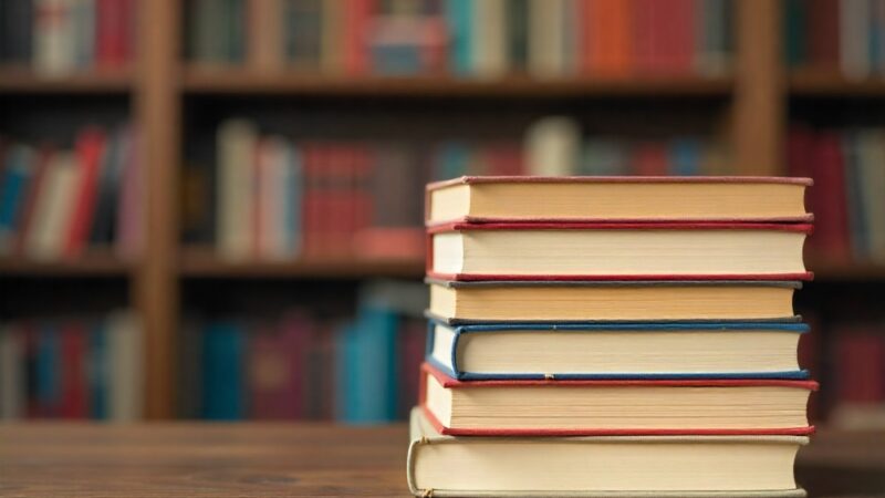 Wolność słowa na Erasmus Days: Kluczowe rozmowy o granicach i odpowiedzialności