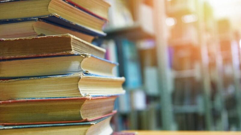 Motyle w Bibliotece: Kreatywne Przyjęcie Pełne Wyobraźni