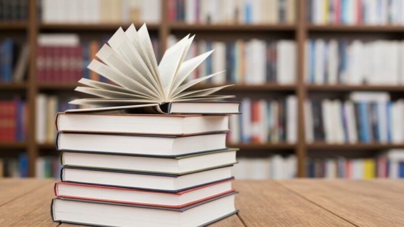 EKO-rękodzieło: Finałowa Kreatywność w Bibliotece Przy Baleya!