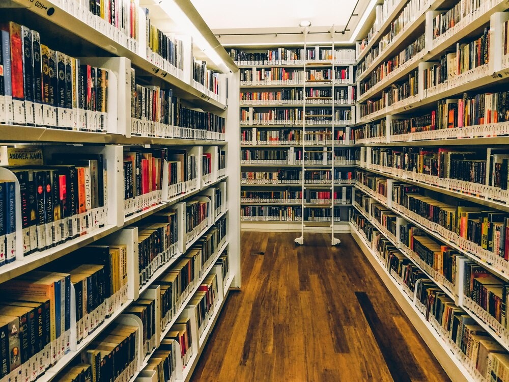 Historia Kolonii Kościuszki: Zanim powstało Zatrasie