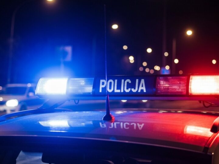 Policjanci z KPP Pruszków zachęcają do służby na Warsaw Motor Show 2025