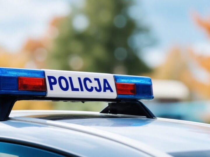 Policja na pikniku: zachęta do wstąpienia w szeregi służby mundurowej