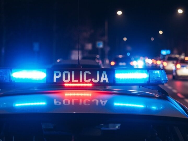 Błyskawiczne zatrzymanie złodzieja z centrum handlowego