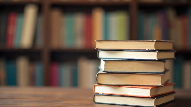 Twardonoszka – Twój nowy, stylowy towarzysz literackich przygód tej jesieni