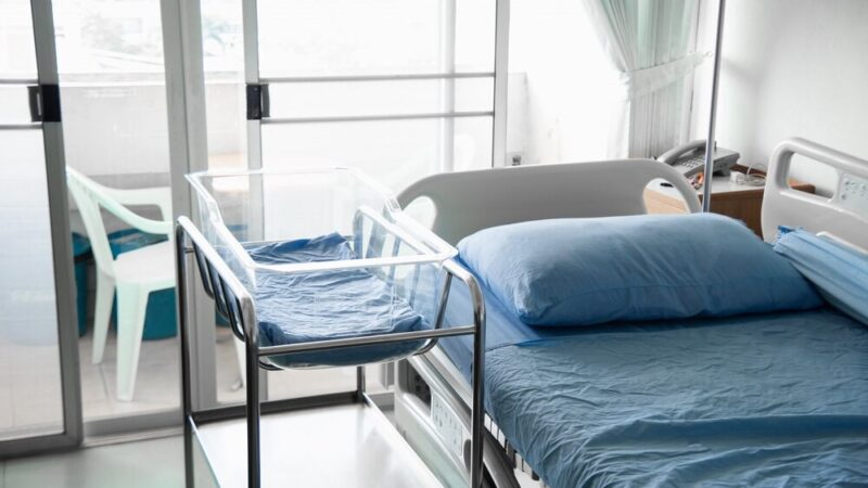 Borsuk i policyjna przygoda: dzieci uczą się bezpieczeństwa!