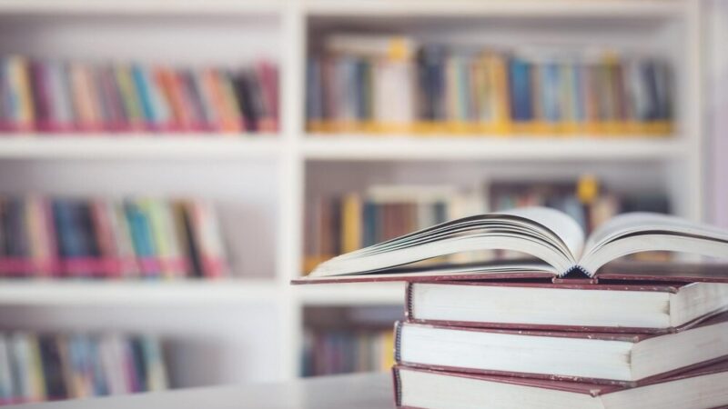 Listopad z pasją: Twórcze wydarzenia w Bibliotece Białołęka