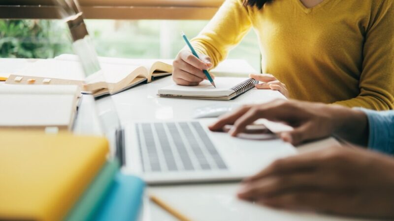 Edukacja i zabawa w sercu natury: Przedszkole nr 212 na nowo definiuje dzieciństwo