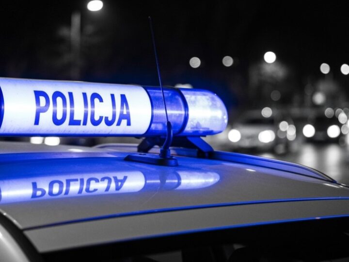 Oszustka z Sokołowa Podlaskiego zatrzymana za wyłudzanie pożyczek