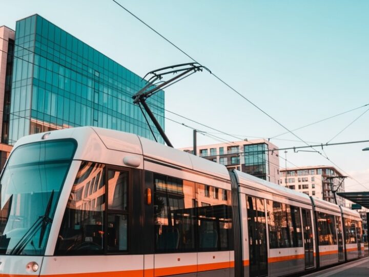 Zielona metamorfoza Marszałkowskiej: nowe drzewa w sercu Warszawy