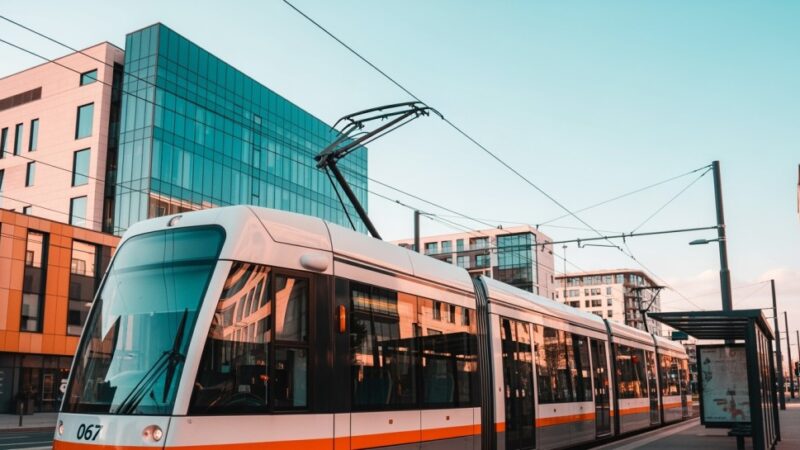 Zielona metamorfoza Marszałkowskiej: nowe drzewa w sercu Warszawy