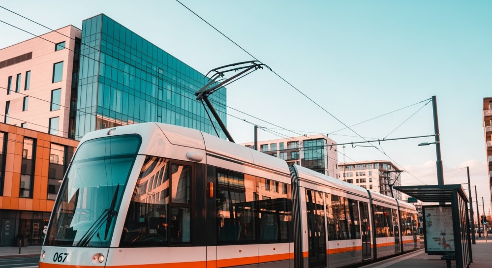 Zielona metamorfoza Marszałkowskiej: nowe drzewa w sercu Warszawy