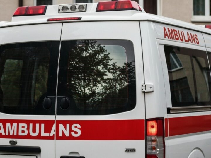 Rewolucyjna karetka weterynaryjna w Warszawie ratuje czworonogi w kryzysie