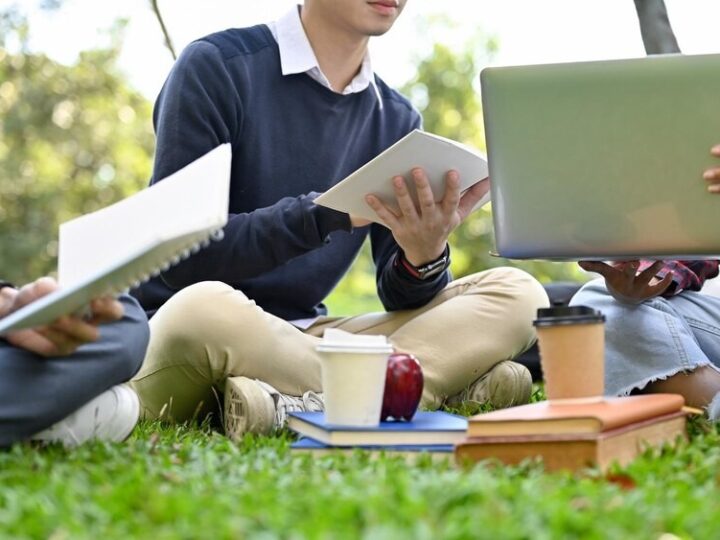 Polski z Zieloną: Kurs dla Cudzoziemców na Start w Nowej Kulturze