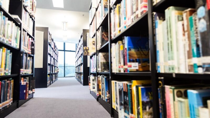 Targówek: Biblioteka z rekordowym wzrostem czytelnictwa i wydarzeń kulturalnych