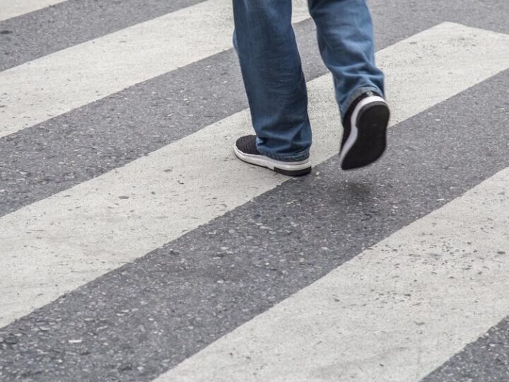 Policjantka z Wilanowa bohaterką: uratowała psa i zapobiegła wypadkowi na S7