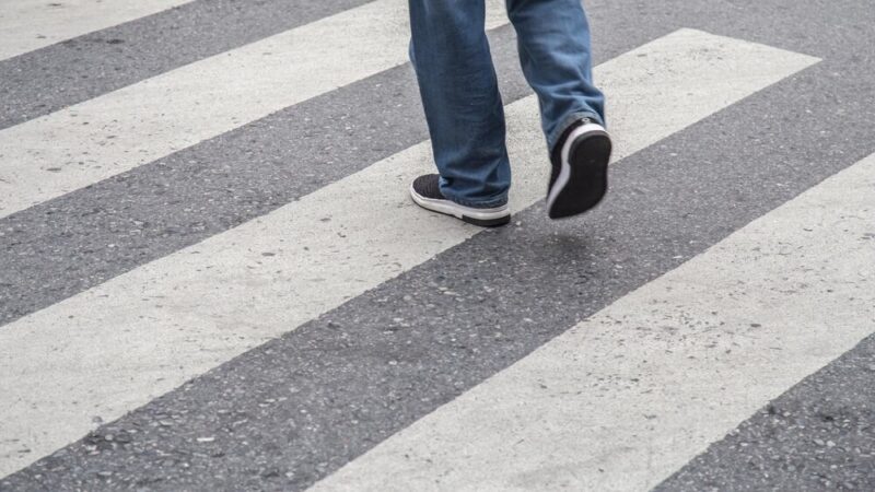 Policjantka z Wilanowa bohaterką: uratowała psa i zapobiegła wypadkowi na S7