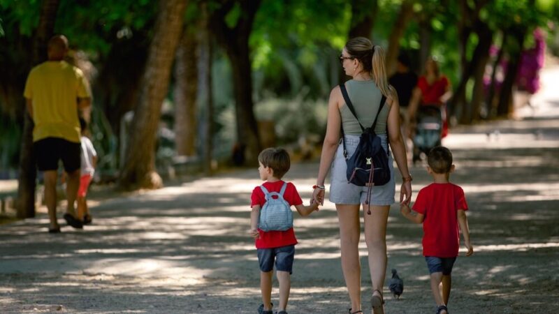 Trzy urocze zwierzaki szukają kochających domów w Warszawie!
