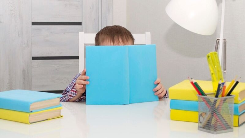 Edukacja na Pradze-Południe: Miejsca, gdzie rozwijają się talenty dziecięce