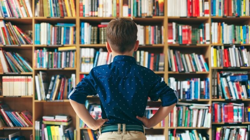 Klimatyczna Mapa Przedszkoli: Przewodnik dla warszawskich rodziców!