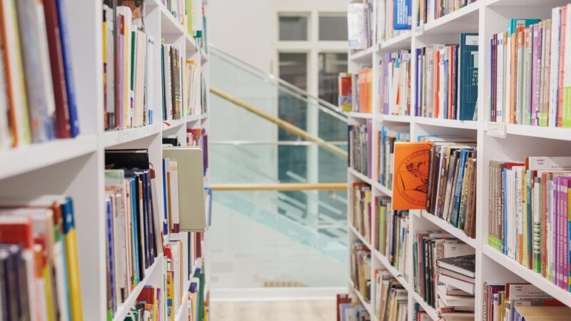 Ekoteka na Żytniej: Nowe centrum kultury dla Woli otwarte!