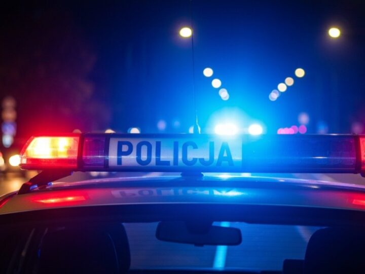 Szybka akcja policji: skradziony katalizator odzyskany, a 28-latek w areszcie!