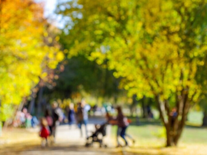 Rodzice dzieci z ASD i ADHD zapraszają na grupę wsparcia!