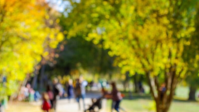 Rodzice dzieci z ASD i ADHD zapraszają na grupę wsparcia!