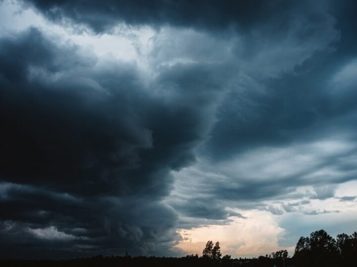 Warszawskie służby w akcji: miasto walczy z gołoledzią!