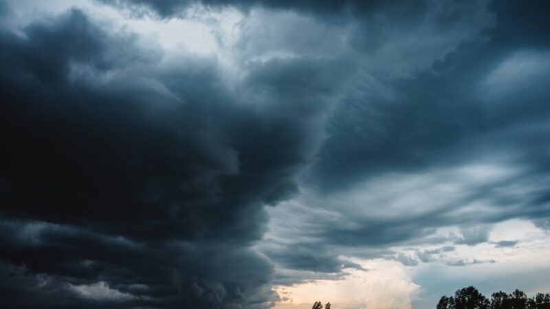 Warszawskie służby w akcji: miasto walczy z gołoledzią!