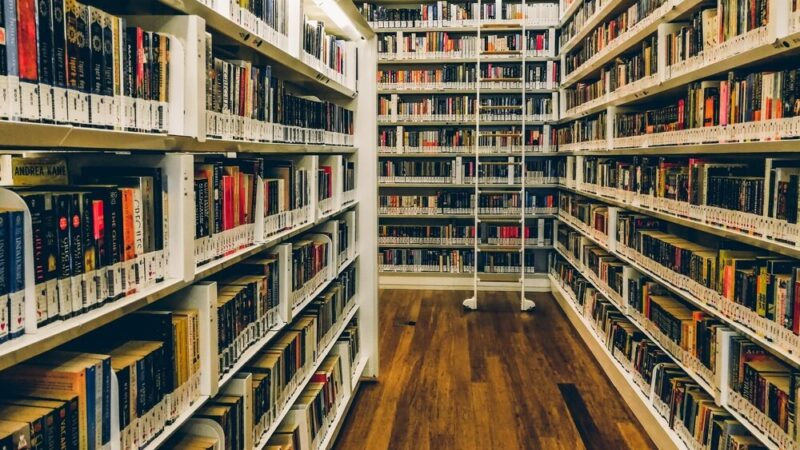 Odkryj magię mitologii z Percy’m Jacksonem w Nautilusie!