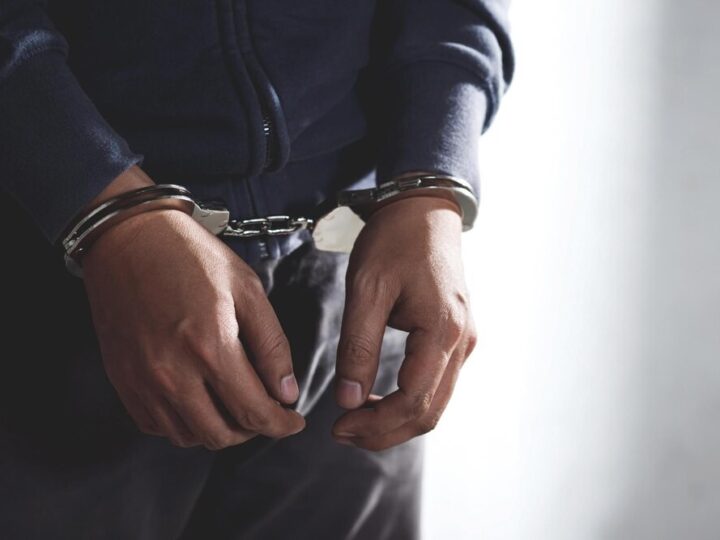 Pies uratowany przez policję wraca do domu!