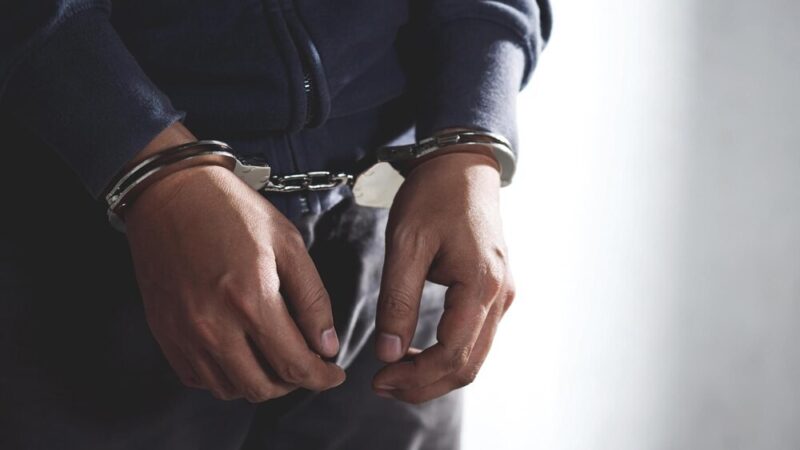 Pies uratowany przez policję wraca do domu!