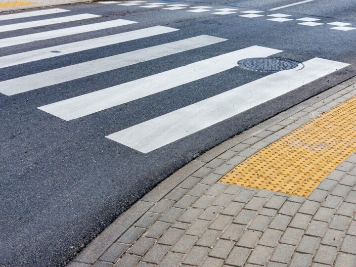 Bezpieczny borsuk w przedszkolu w Nowych Grochalach