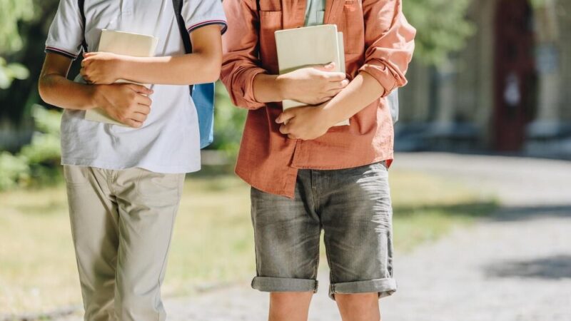 Bezpieczna młodzież: Jak szkoły walczą z zagrożeniami w sieci?