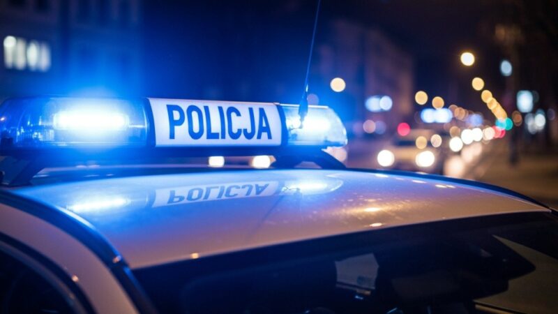 Sąsiad oskarżony o celowe potrącenie psa na Białołęce