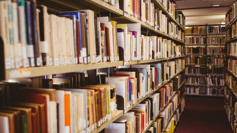 Stwórz unikalną eko-biżuterię na warsztatach EKOART w bibliotece!