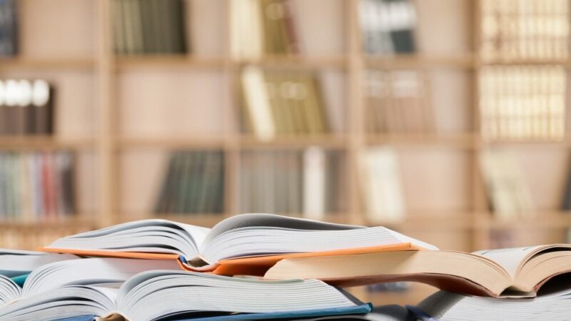 Zielona biblioteka: Kreatywne warsztaty, które rozweselą młodych artystów!