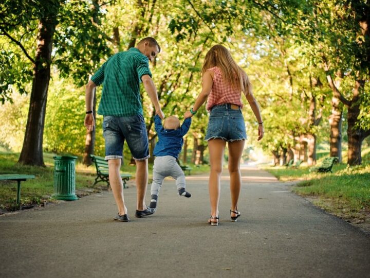 Zwierzęta w schronisku czekają na miłość – przygarnij przyjaciela!