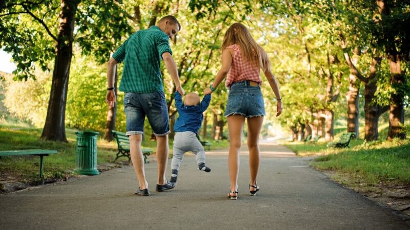 Zwierzęta w schronisku czekają na miłość – przygarnij przyjaciela!