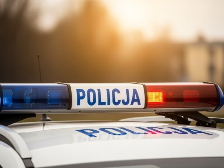 Tajemniczy malarz z Warszawy zatrzymany przez strażników!