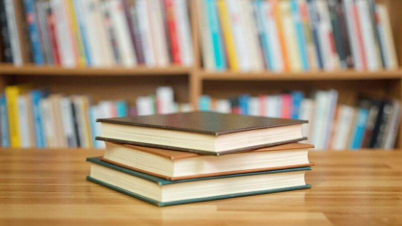 Nowe audiobooki i książki w Bibliotece Nautilus na wakacje!