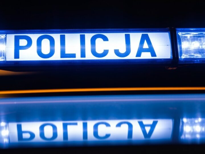 Strażnicy miejscy interweniują w sprawie molestowania nad jeziorem Czerniakowskim