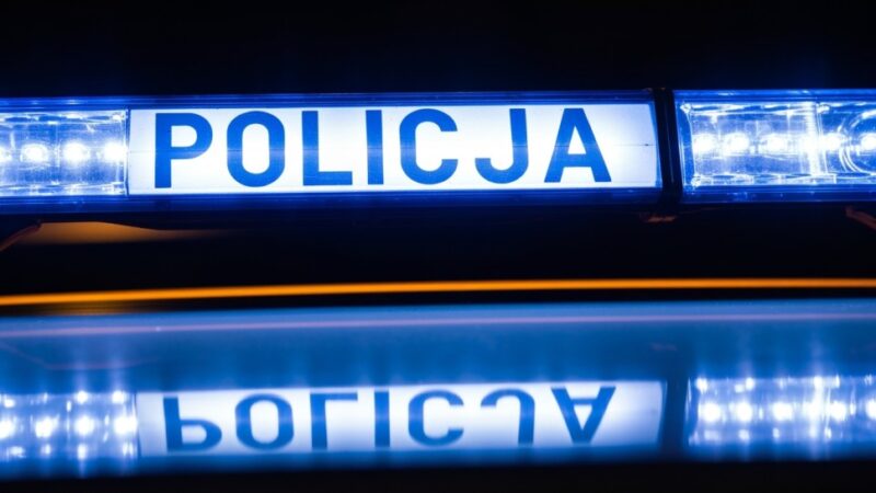 Strażnicy miejscy interweniują w sprawie molestowania nad jeziorem Czerniakowskim